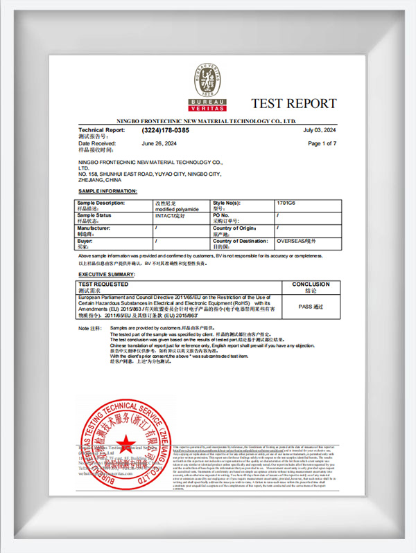 1000 NAT -serie testrapport